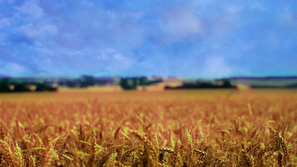 Falling For It (pack 1)