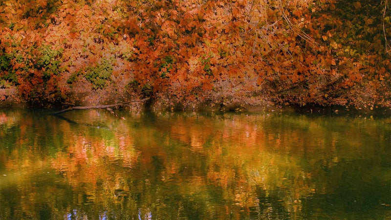 Falling For It (pack 2)