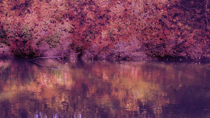 Falling For It (pack 2)