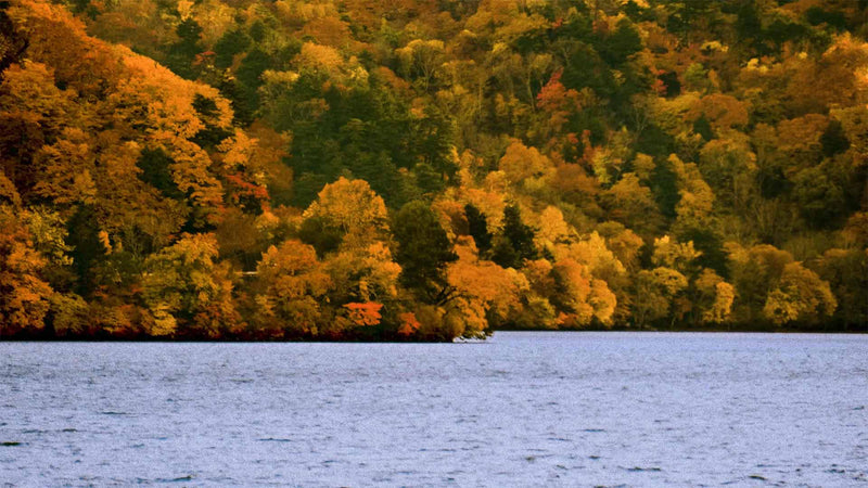 Falling For It (pack 3)