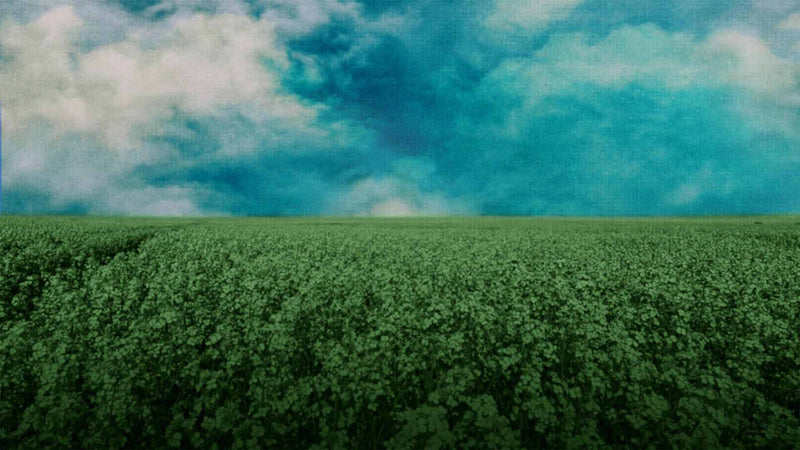 Paper Scapes (pack 3)