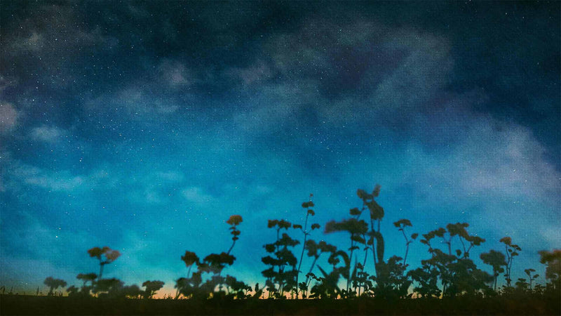 Paper Scapes (pack 6)