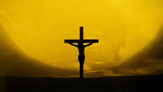 Savior (pack 2)