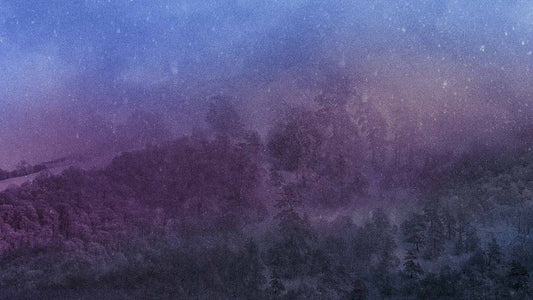Snowtalgic (pack 2)