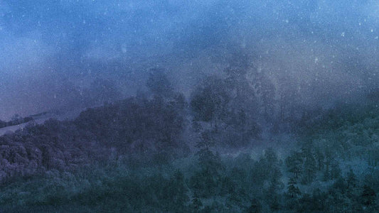Snowtalgic (pack 2)