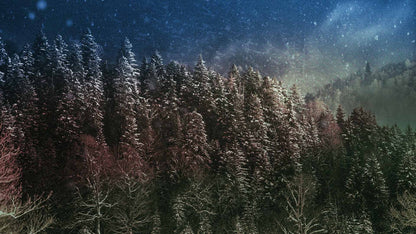 Snowtalgic (pack 3)