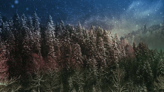 Snowtalgic (pack 3)