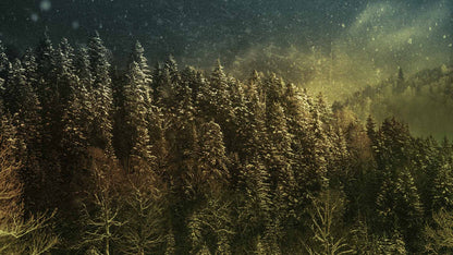 Snowtalgic (pack 3)
