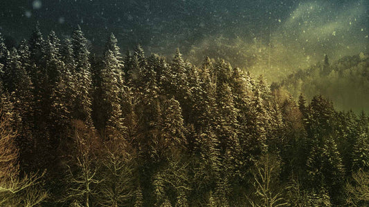 Snowtalgic (pack 3)