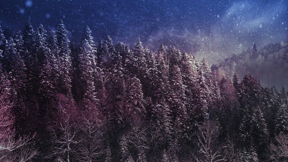 Snowtalgic (pack 3)