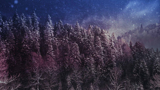 Snowtalgic (pack 3)