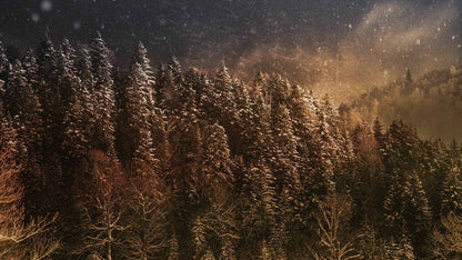 Snowtalgic (pack 3)