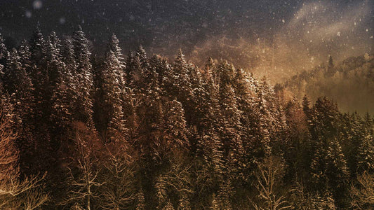 Snowtalgic (pack 3)