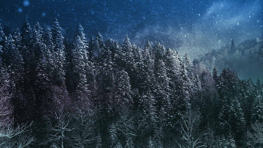 Snowtalgic (pack 3)