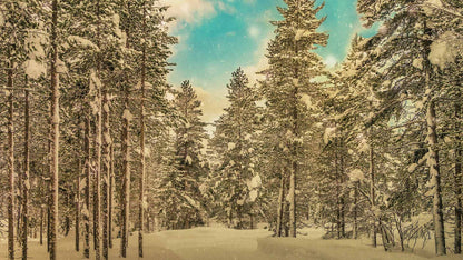 Snowtalgic (pack 4)