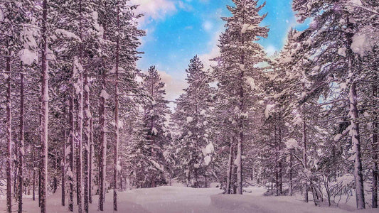 Snowtalgic (pack 4)