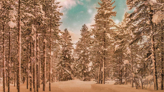 Snowtalgic (pack 4)