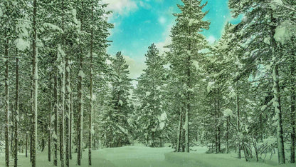 Snowtalgic (pack 4)
