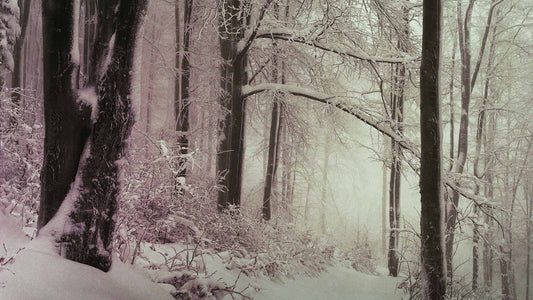 Snowtalgic (pack 6)
