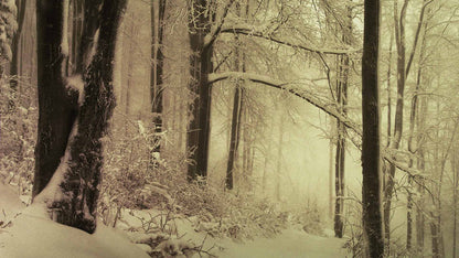 Snowtalgic (pack 6)