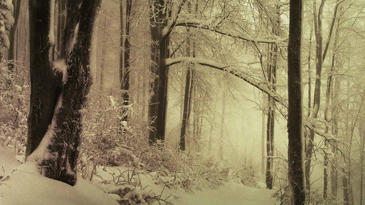 Snowtalgic (pack 6)