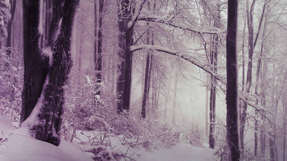 Snowtalgic (pack 6)