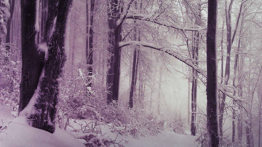 Snowtalgic (pack 6)