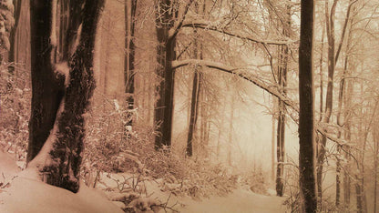 Snowtalgic (pack 6)