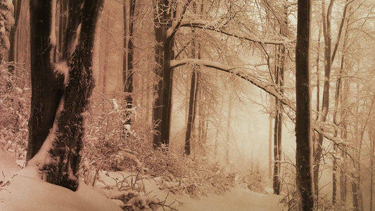 Snowtalgic (pack 6)