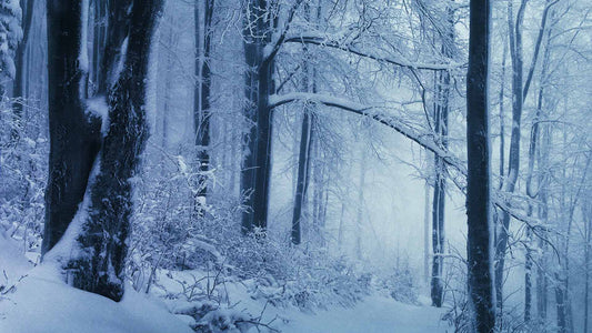 Snowtalgic (pack 6)