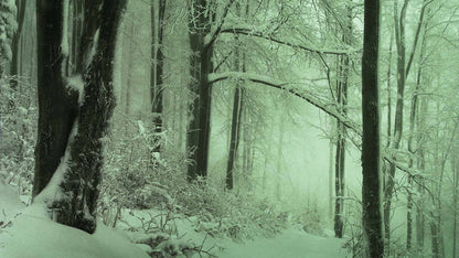 Snowtalgic (pack 6)