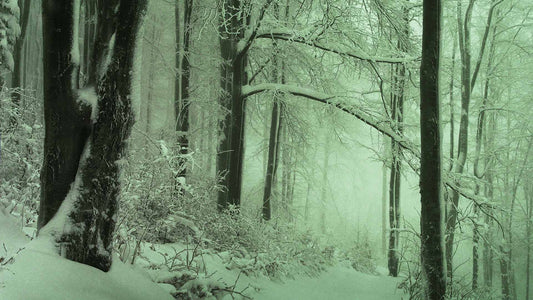 Snowtalgic (pack 6)