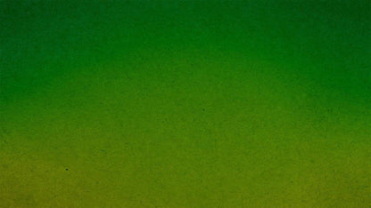 Static Color (pack 3)