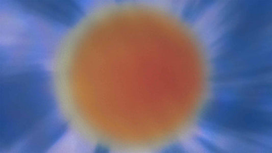 Sunny Glow (pack 3)