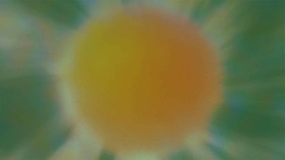 Sunny Glow (pack 3)