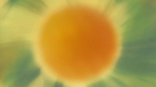 Sunny Glow (pack 4)