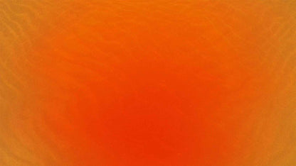 The Sun Sand (pack 1)