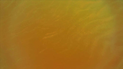 The Sun Sand (pack 2)