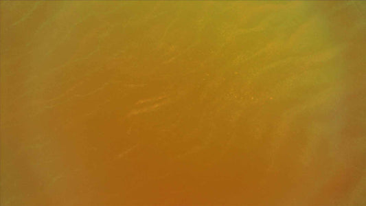 The Sun Sand (pack 2)