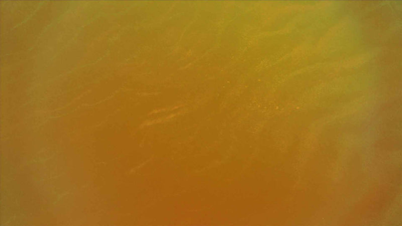 The Sun Sand (pack 2)