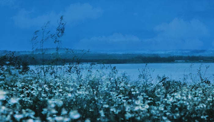 05