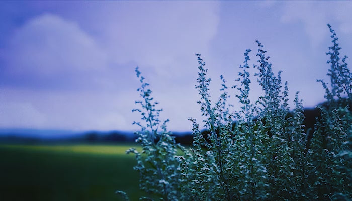 05